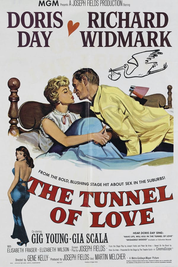 Cover of the movie The Tunnel of Love