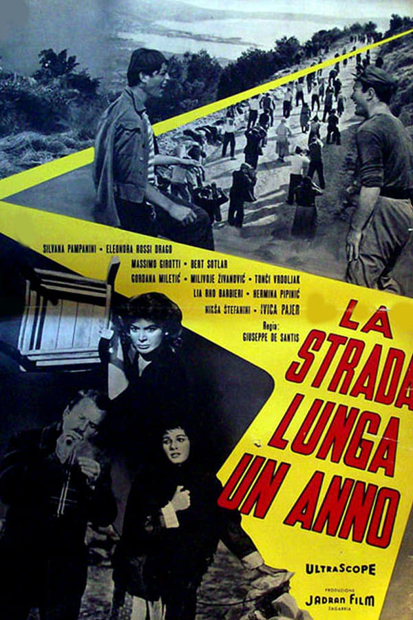 Cover of the movie The Year Long Road