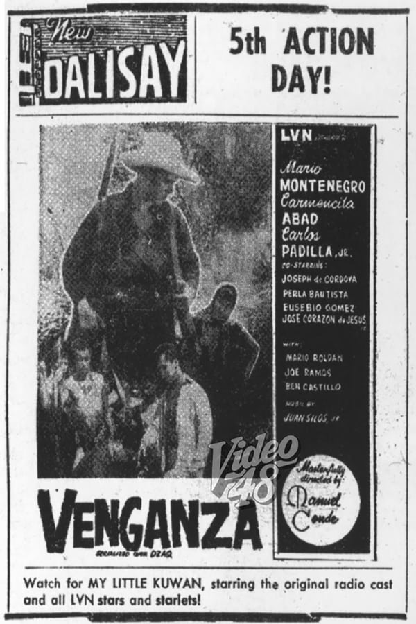 Cover of the movie Vengeance