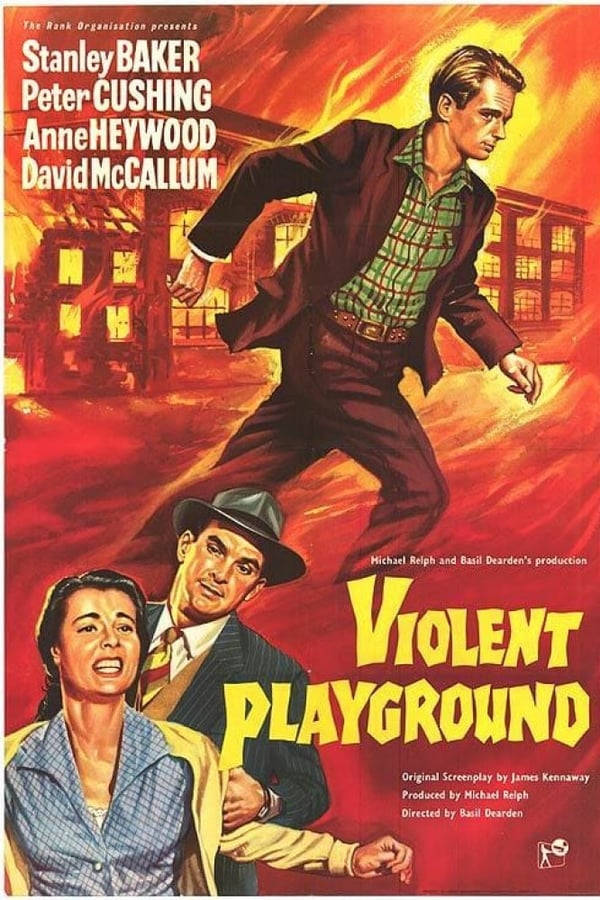 Cover of the movie Violent Playground