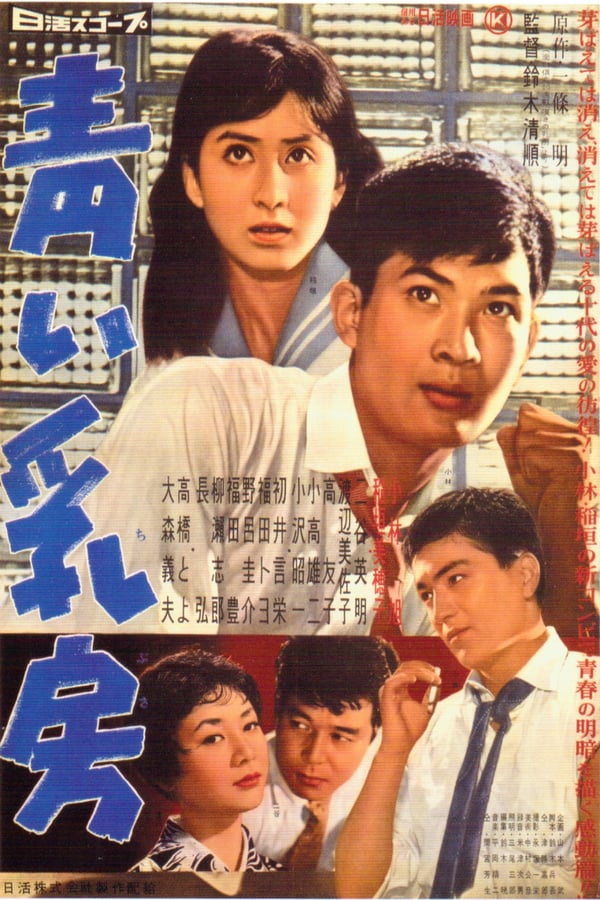 Cover of the movie Young Breasts