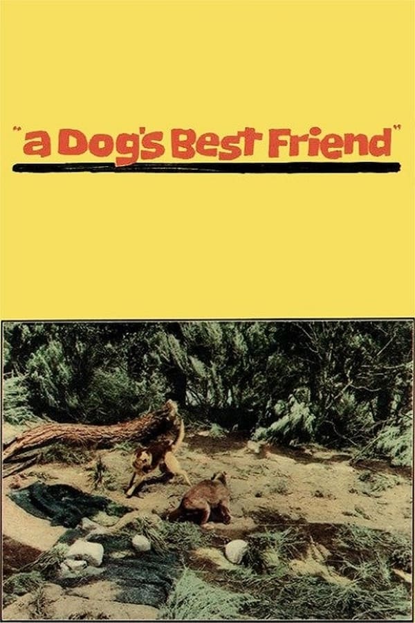 Cover of the movie A Dog's Best Friend