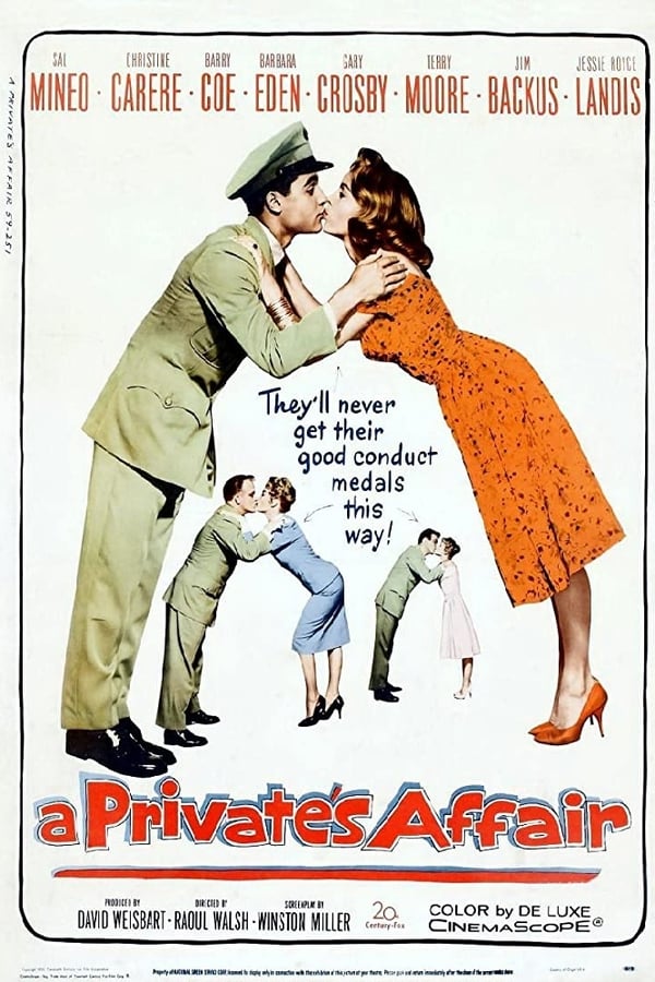 Cover of the movie A Private's Affair