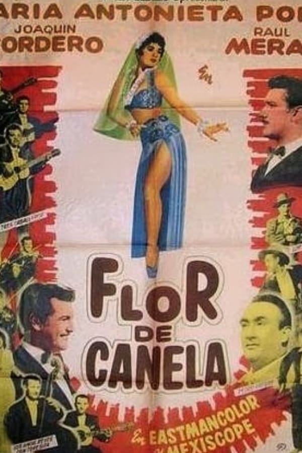 Cover of the movie Flor de canela