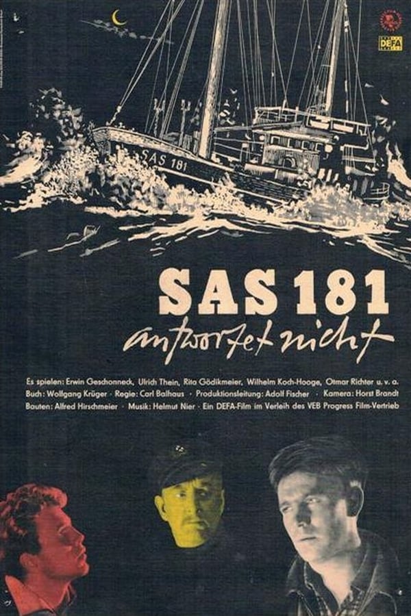 Cover of the movie SAS 181 antwortet nicht