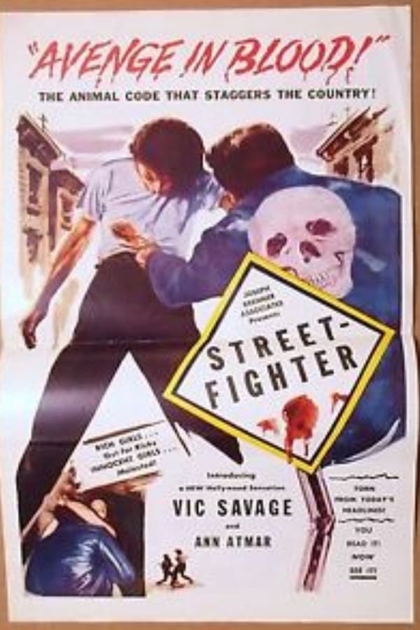 Cover of the movie Street Fighter