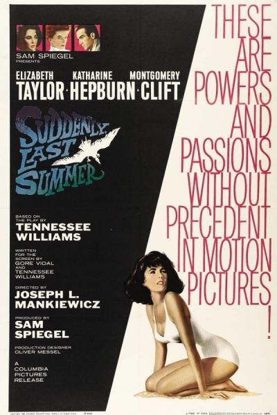 Cover of the movie Suddenly, Last Summer