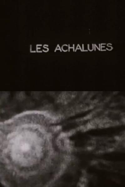 Cover of The Achalunés