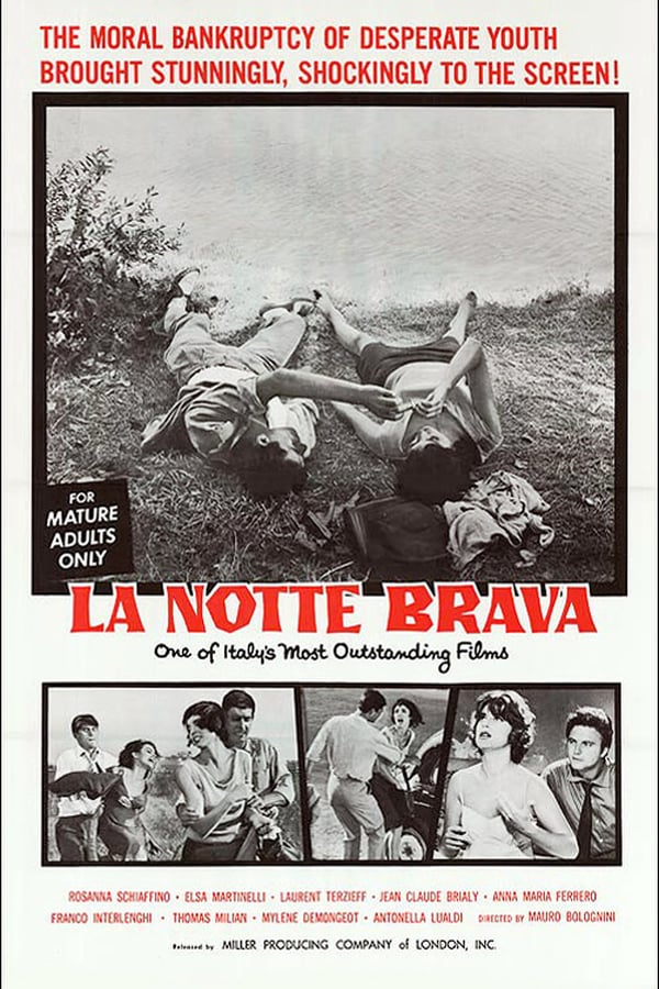 Cover of the movie The Big Night
