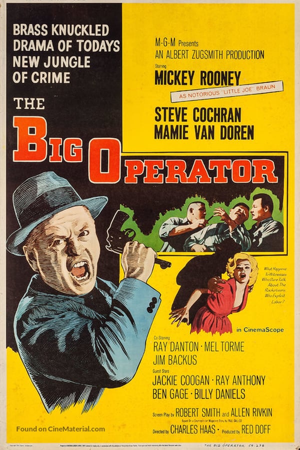 Cover of the movie The Big Operator