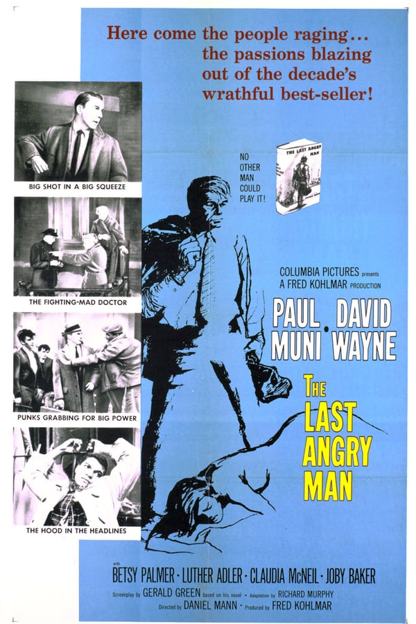 Cover of the movie The Last Angry Man