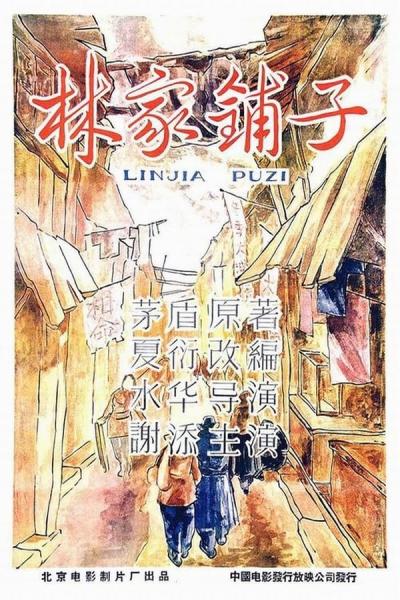 Cover of the movie The Lin Family Shop