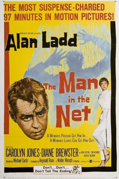 Cover of the movie The Man in the Net