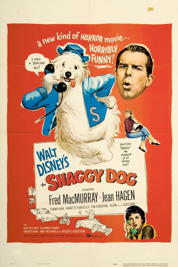 Cover of the movie The Shaggy Dog
