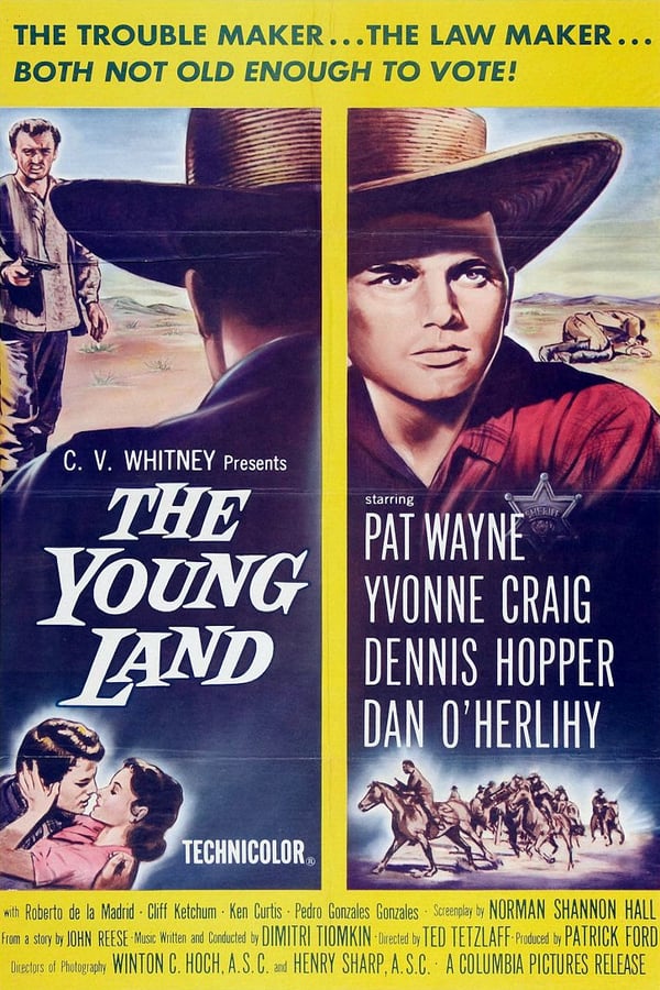 Cover of the movie The Young Land