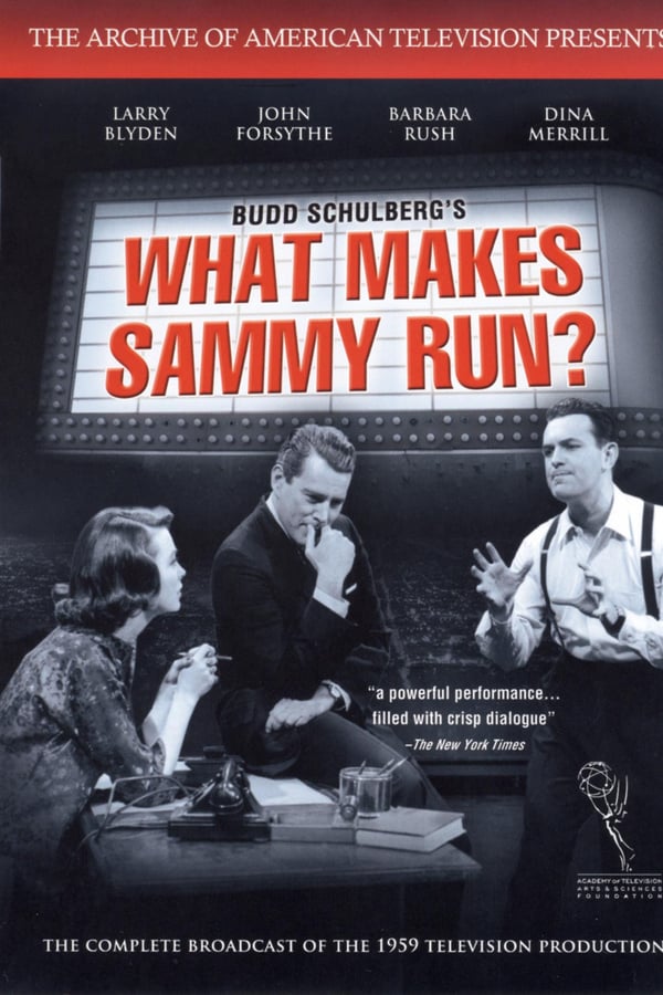 Cover of the movie What Makes Sammy Run?