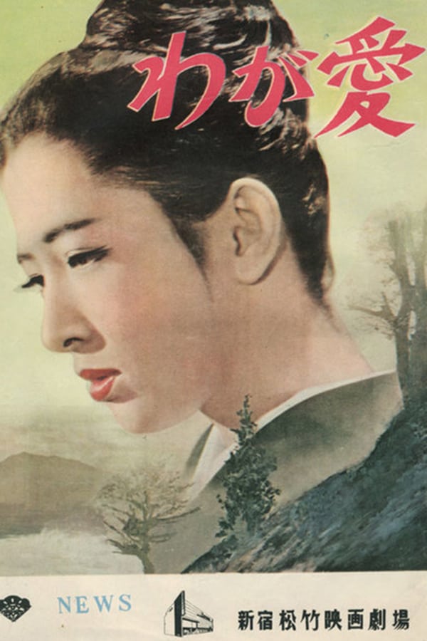 Cover of the movie When a Woman Loves