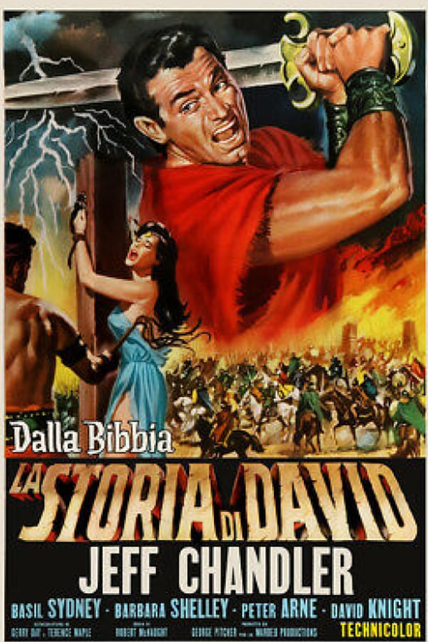 Cover of the movie A Story of David