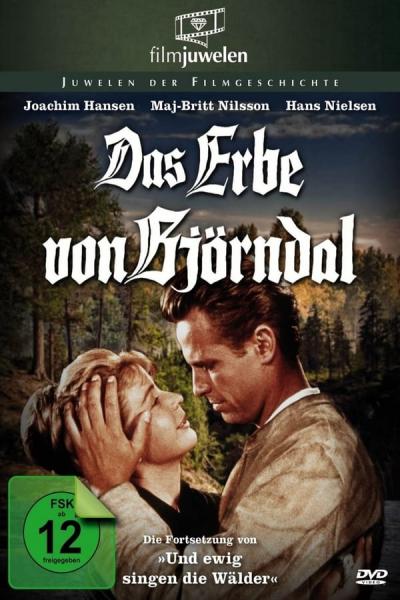 Cover of Heritage of Bjorndal