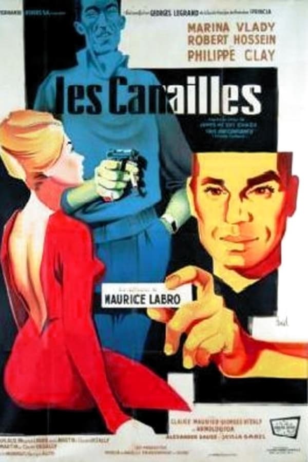 Cover of the movie Les canailles