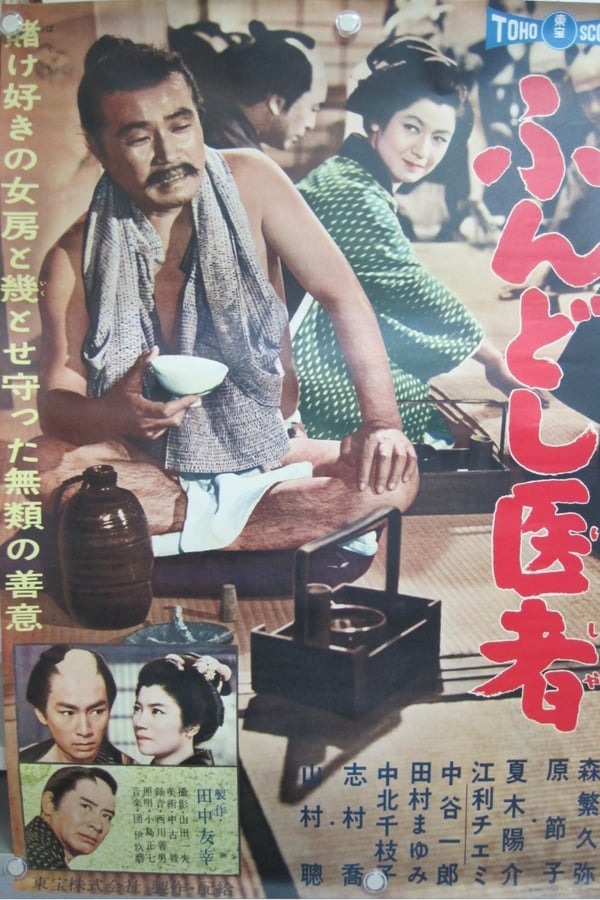 Cover of the movie Life of a Country Doctor