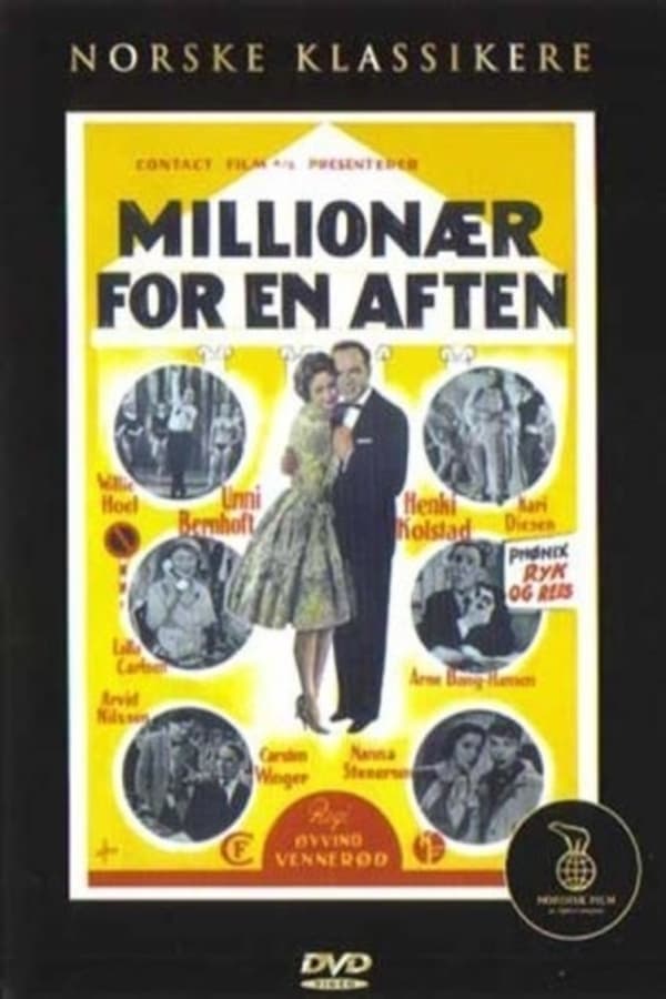 Cover of the movie Millionær for en aften