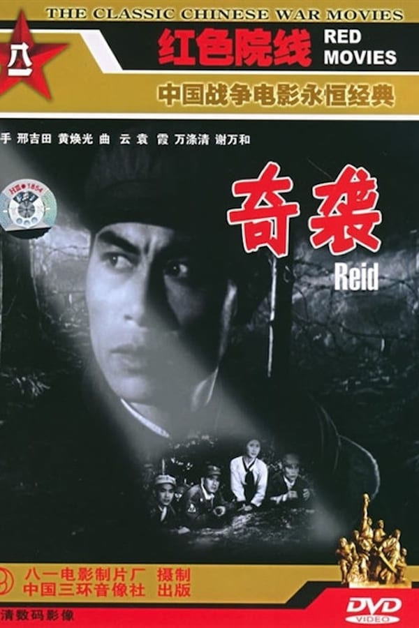 Cover of the movie Raid