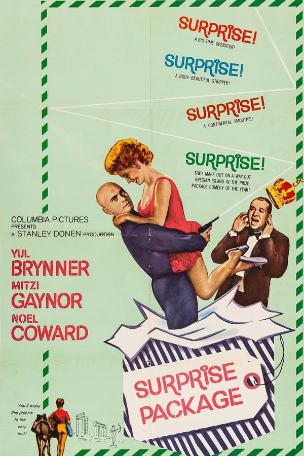 Cover of the movie Surprise Package