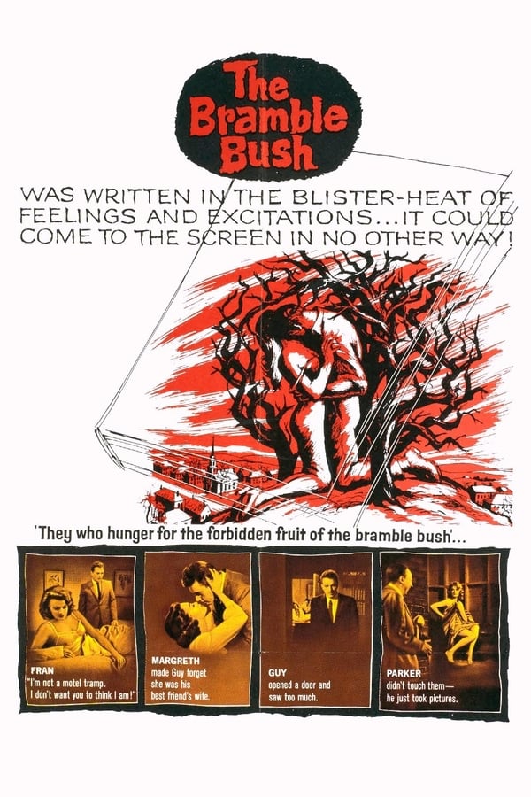 Cover of the movie The Bramble Bush