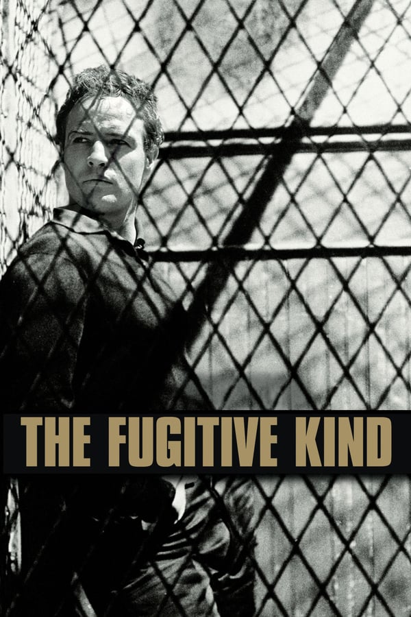 Cover of the movie The Fugitive Kind