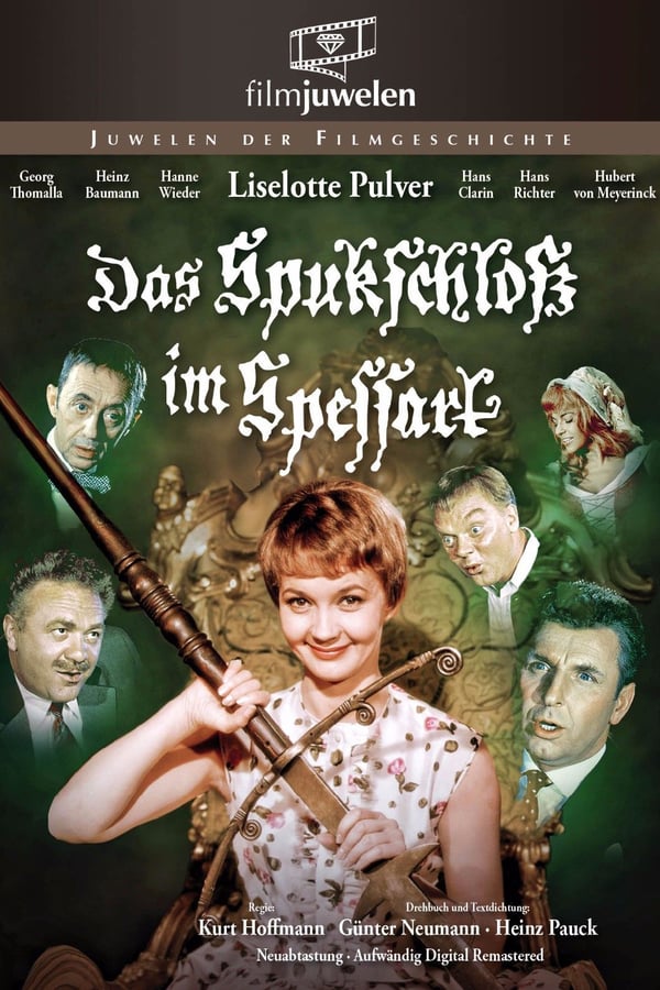 Cover of the movie The Haunted Castle