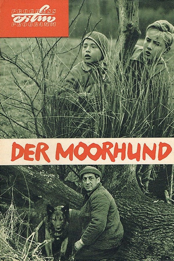 Cover of the movie The Moorhound