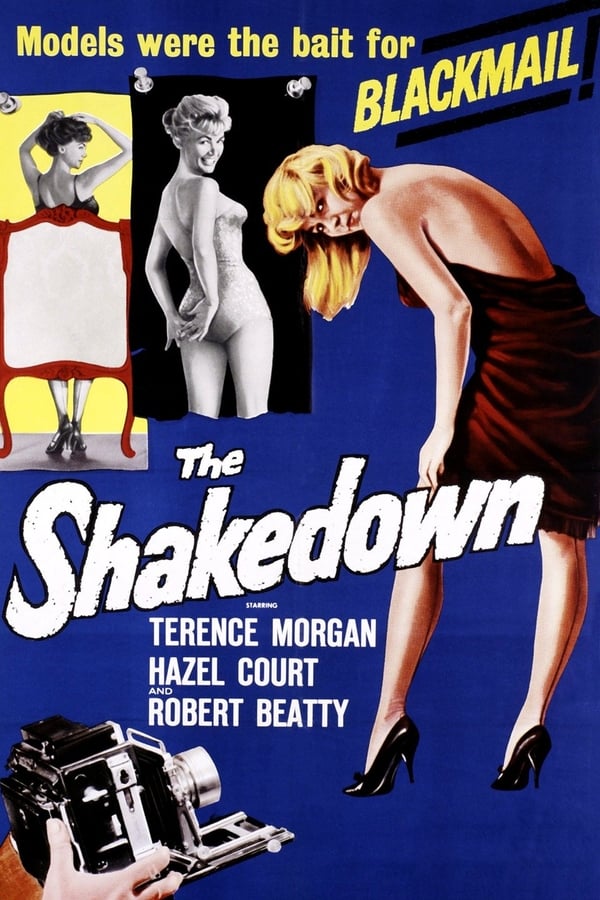 Cover of the movie The Shakedown