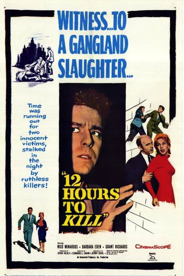 Cover of the movie Twelve Hours to Kill