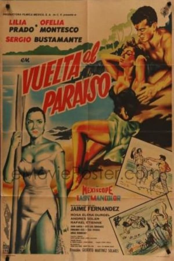 Cover of the movie Vuelta al paraíso