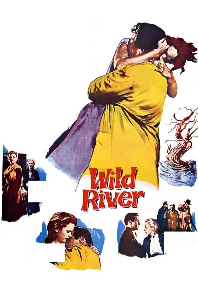 Cover of Wild River