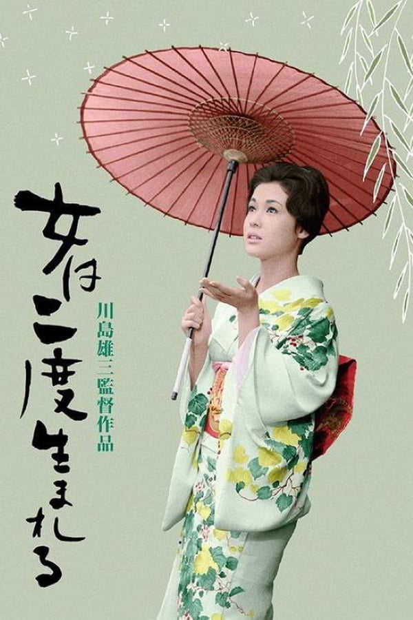 Cover of the movie A Geisha's Diary