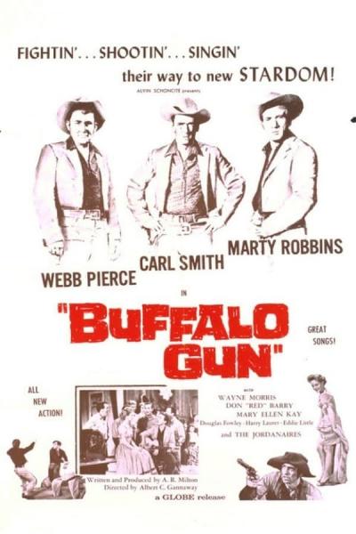 Cover of the movie Buffalo Gun