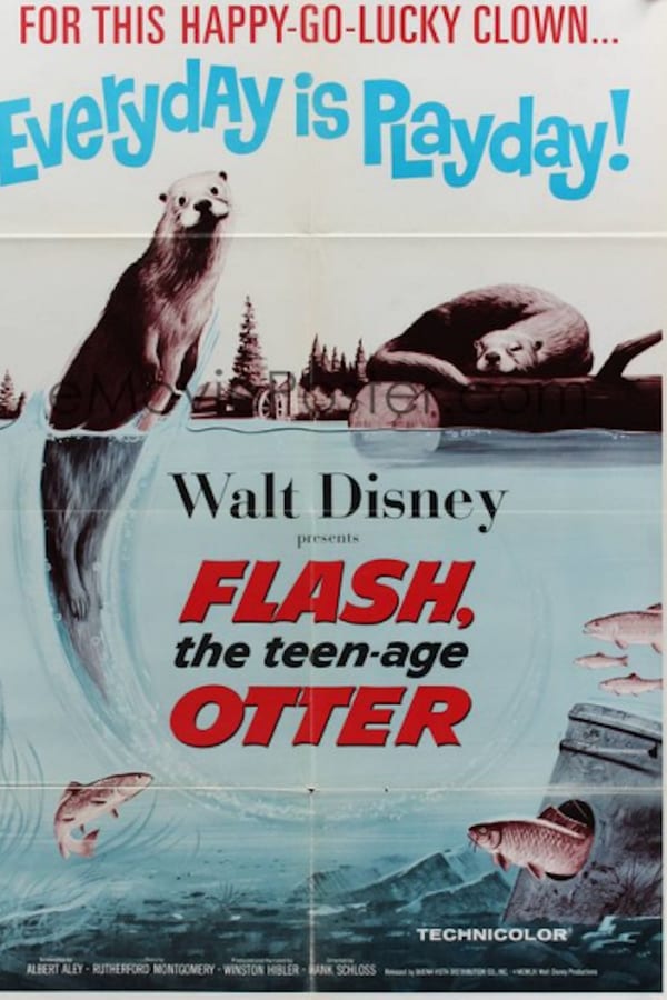 Cover of the movie Flash, The Teenage Otter