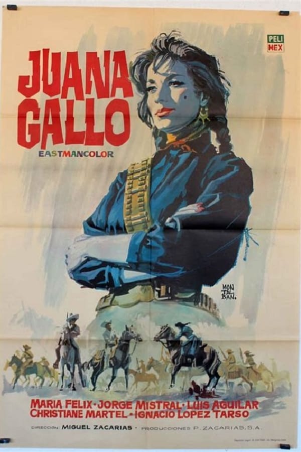 Cover of the movie Juana Gallo