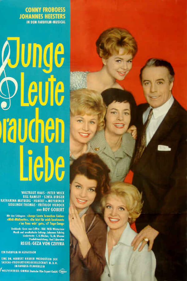 Cover of the movie Junge Leute brauchen Liebe