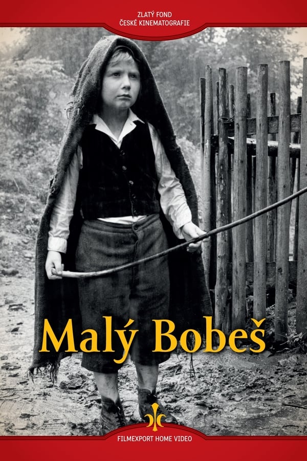Cover of the movie Little Bobesh