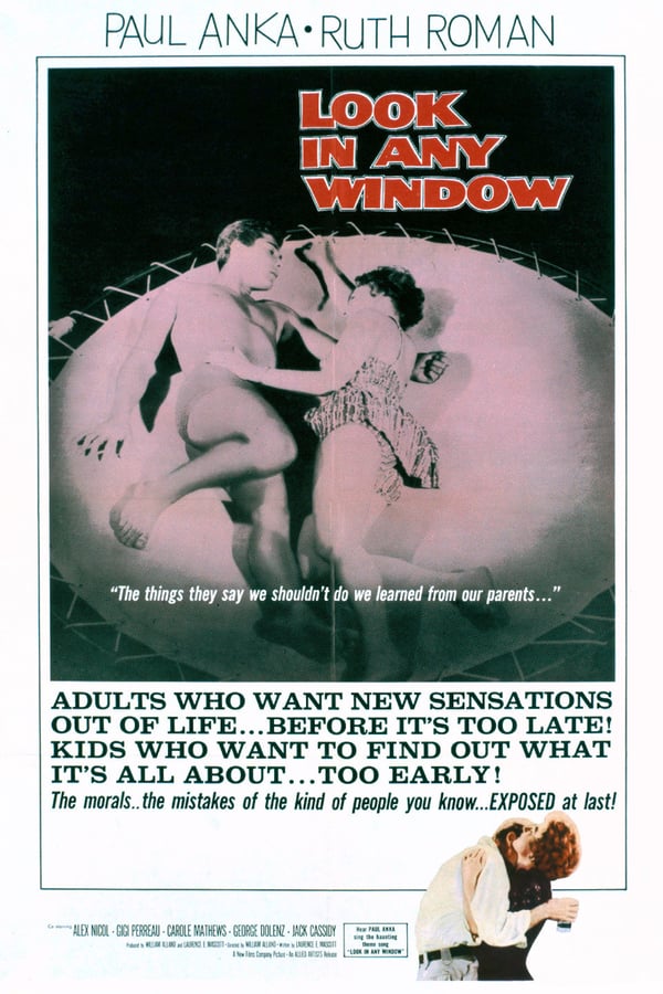 Cover of the movie Look in Any Window