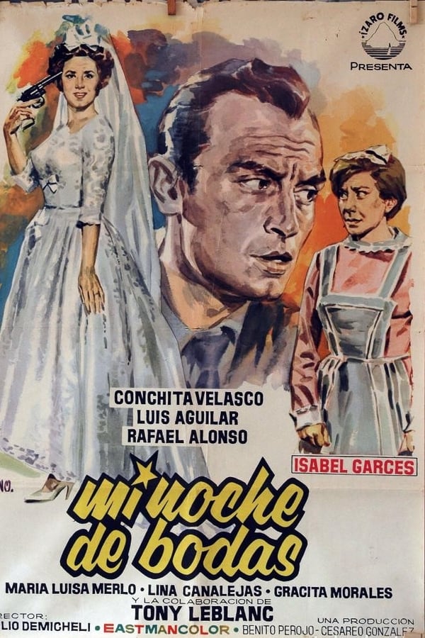 Cover of the movie Mi noche de bodas