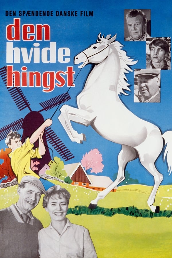Cover of the movie The Boy Who Loved Horses