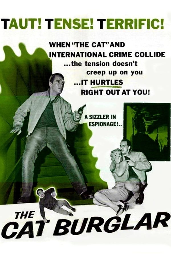 Cover of the movie The Cat Burglar