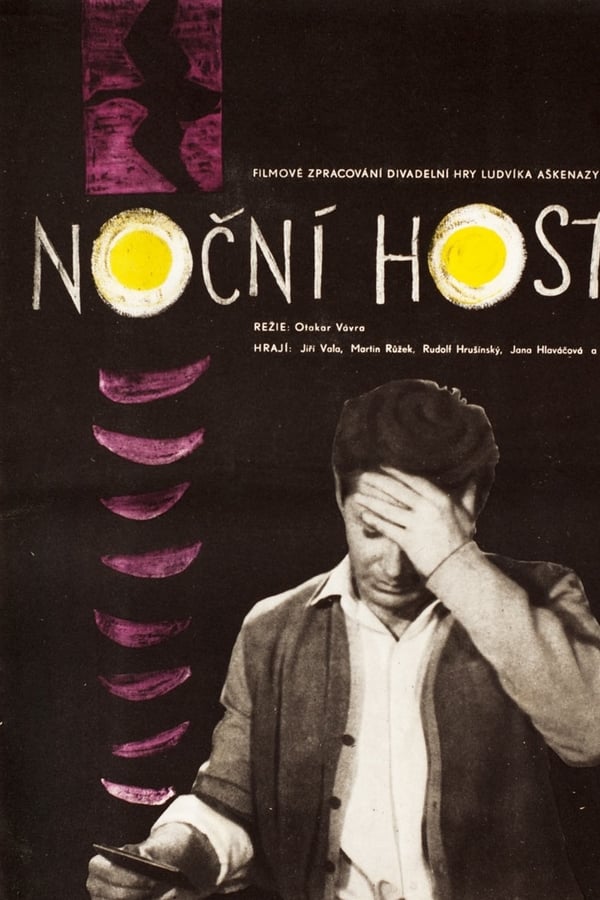 Cover of the movie The Night Guest