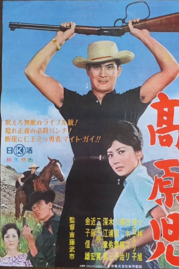 Cover of the movie The Plateau Man