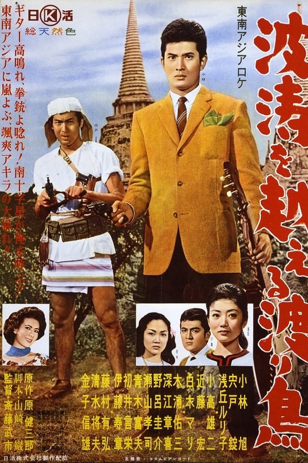 Cover of the movie The Rambler under the Southern Cross