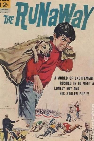 Cover of the movie The Runaway